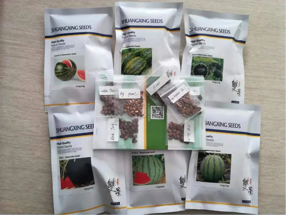 Summer Hybrid Chilli Seeds Vegetable Seeds for Sowing