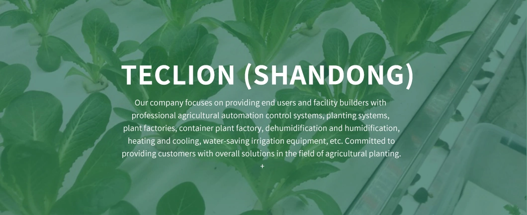 Intelligent Plant Factory Equipment Agriculture
