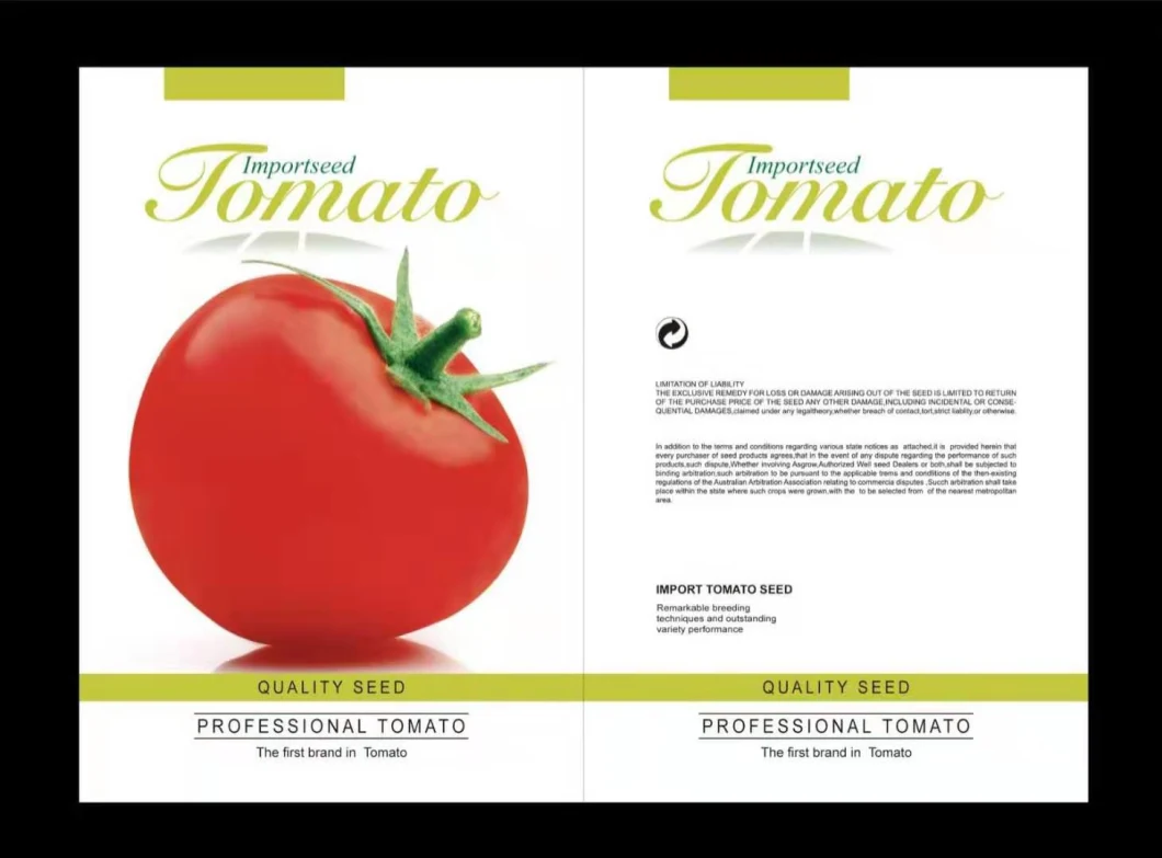 Heat Resistance Big Size Oval Shape Determinate Hybrid Tomato Seeds Vegetable Seeds for Planting