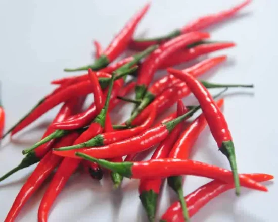 Hot Chilli Seeds Hybrid Vegetable Seed Pepper Seeds para siembra