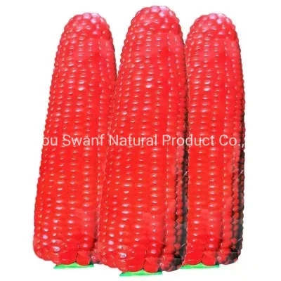 50 g/paquete de semillas de maíz rojo de cultivo de frutas comestibles híbridas F1 para plantar