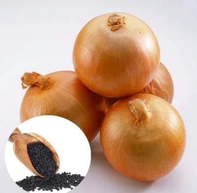 Yang chong suministra semillas de hortalizas híbridas Yellow F1 Onion Seeds