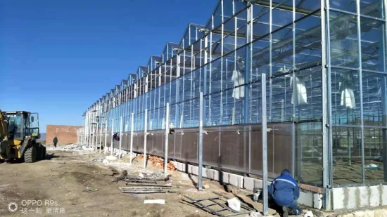 Equipos agrícolas de invernadero de vidrio para agricultura de bajo precio para plantas